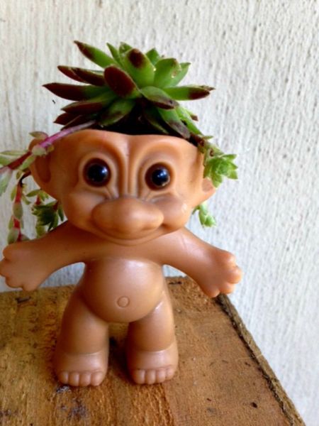 Troll doll planted with succulent