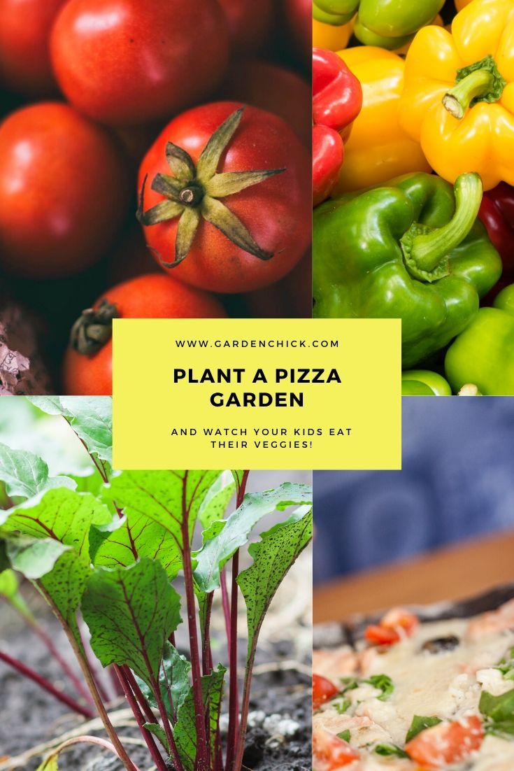 Plant a pizza garden 