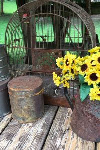 I love using rusty containers in my garden. They can hold flowers, or add a little whimsy to the garden