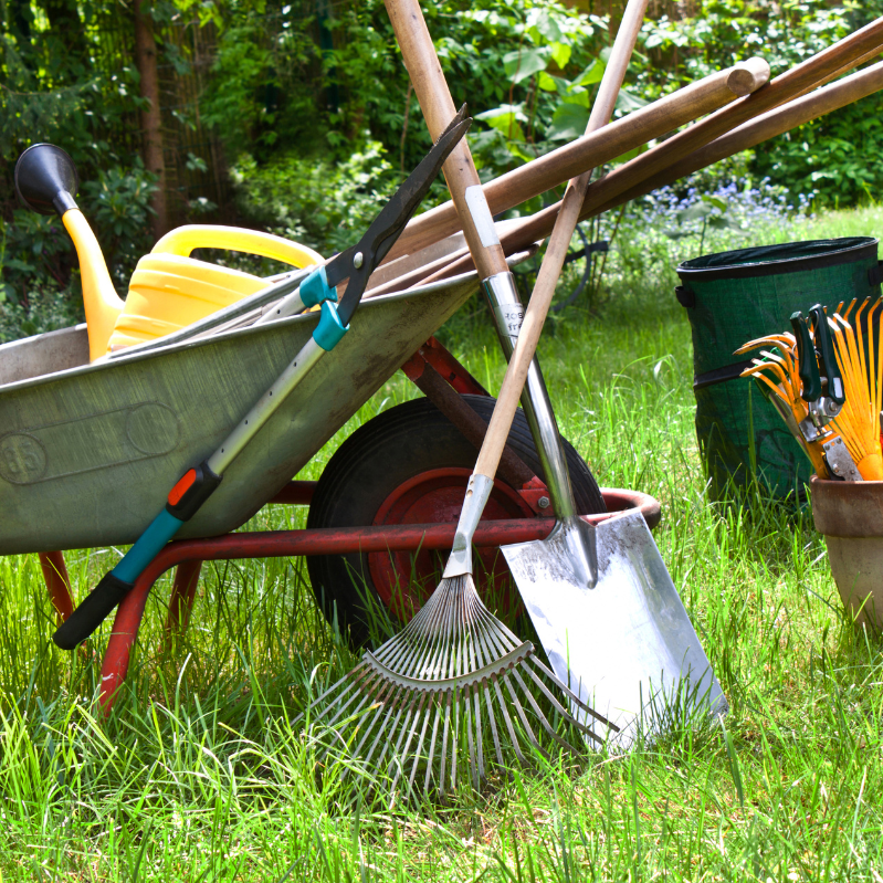 Preparing Your Lawn and Garden For Winter Garden Chick