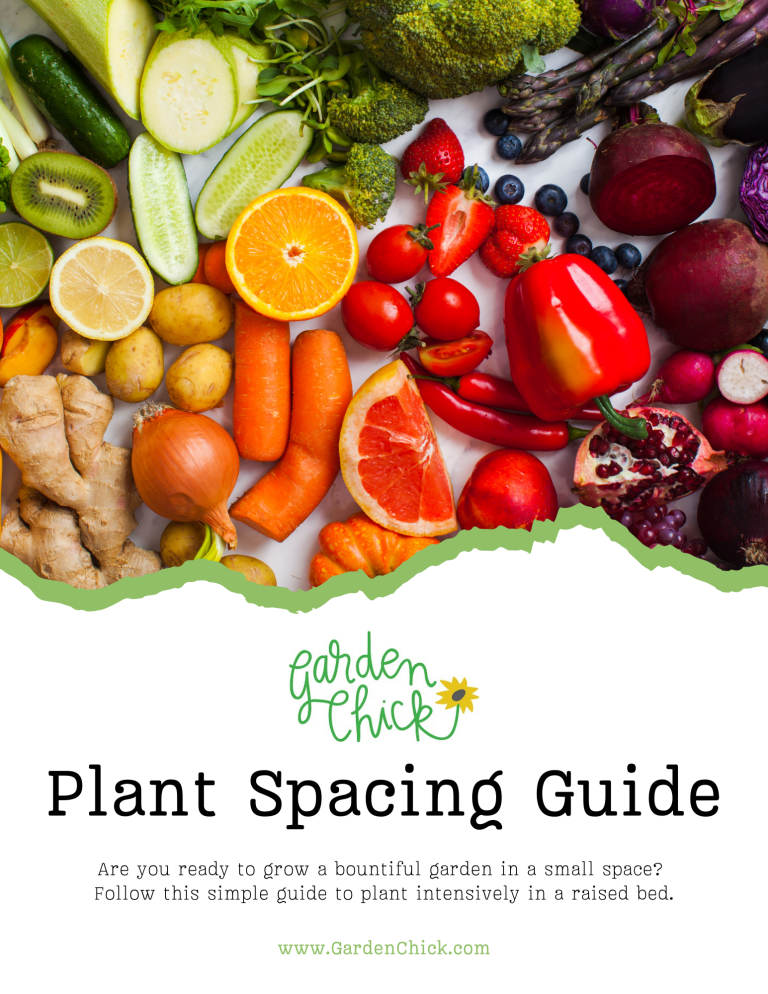 Plant Spacing Guide for Square Foot Gardening in Raised Beds Garden Chick