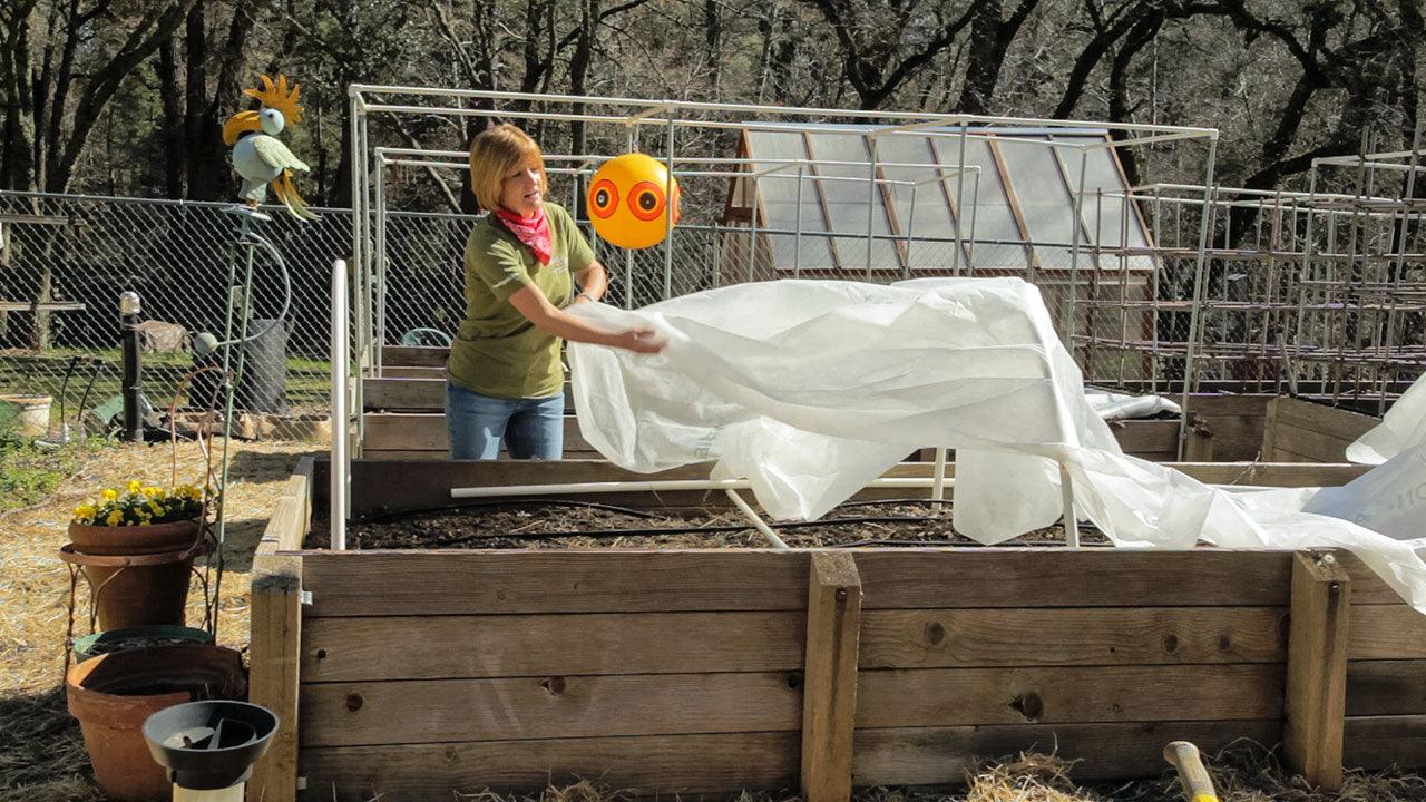 How to Protect Your Vegetable Garden From Frost or Freeze – Garden Chick
