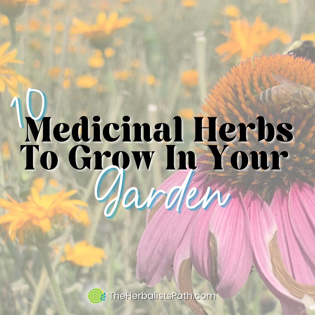 Mary Lummerding: Garden To Table