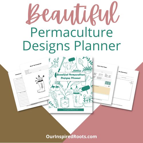 Mary Lummerding: Garden To Table