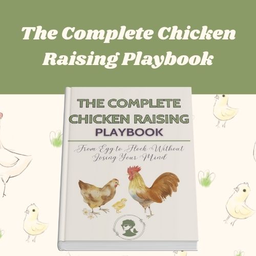 Mary Lummerding: Garden To Table