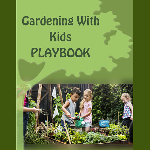 Mary Lummerding: Garden To Table